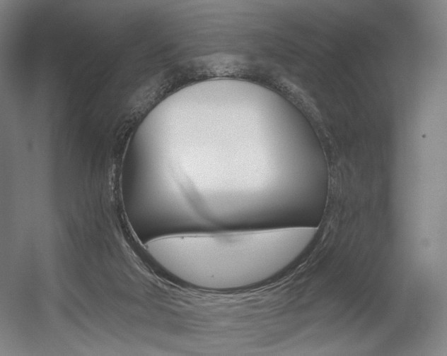 X0000056030018200508191004