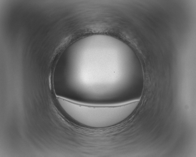 X0000056030019200508191004