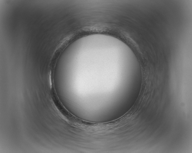 X0000056030020200508191004
