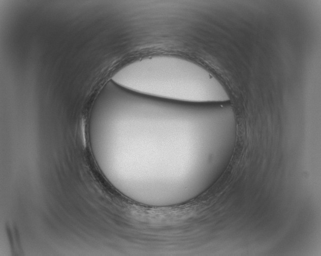 X0000056030022200508191004