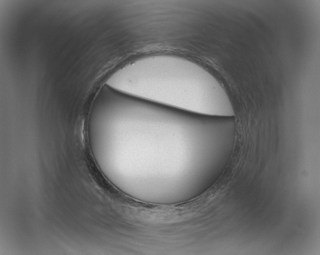 X0000056030024200508191004