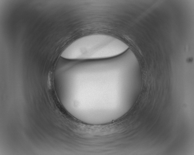 X0000056030026200508191004