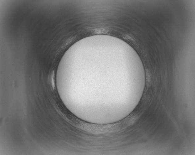 X0000056030028200508191004