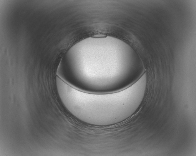 X0000056030029200508191004