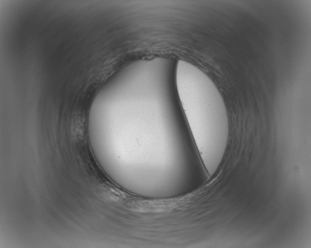X0000056030033200508191004