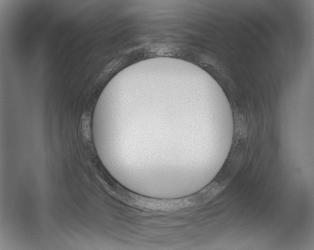 X0000056030036200508191004