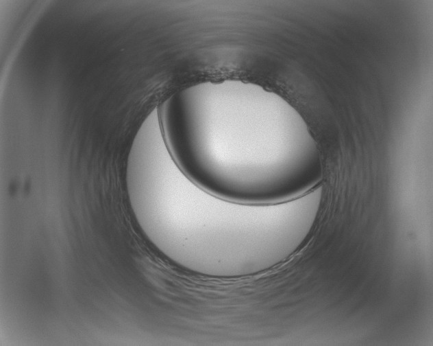 X0000056030037200508191004