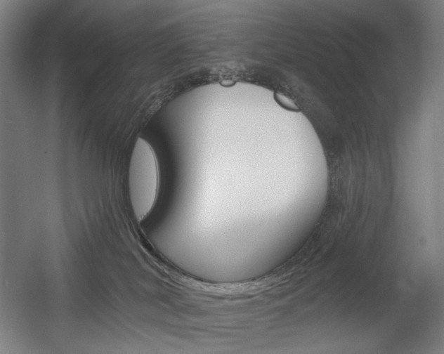 X0000056030038200508191004