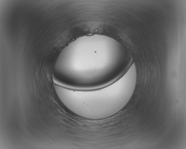 X0000056030039200508191004