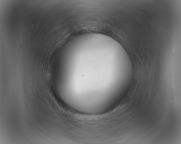 X0000056030040200508191004