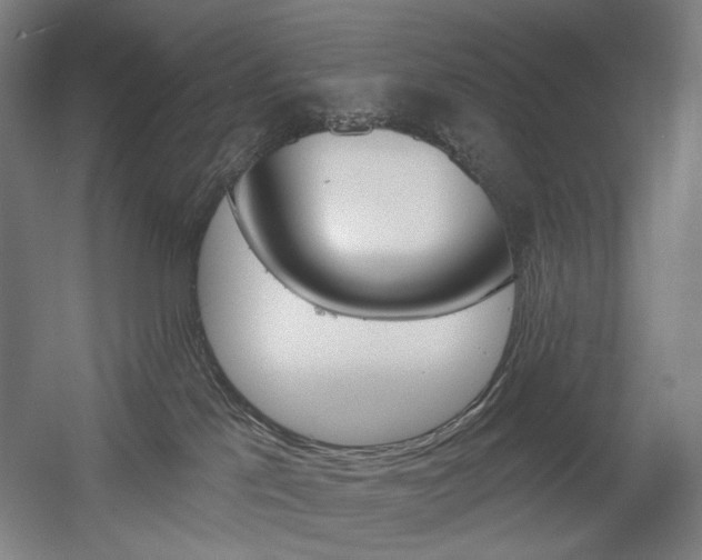 X0000056030041200508191004