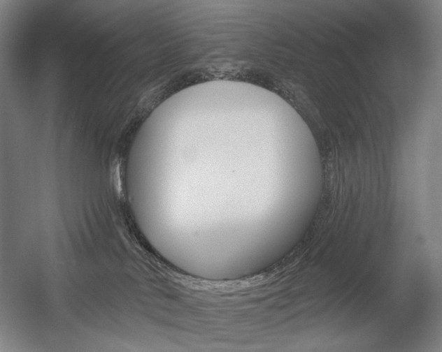 X0000056030042200508191004
