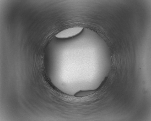 X0000056030043200508191004