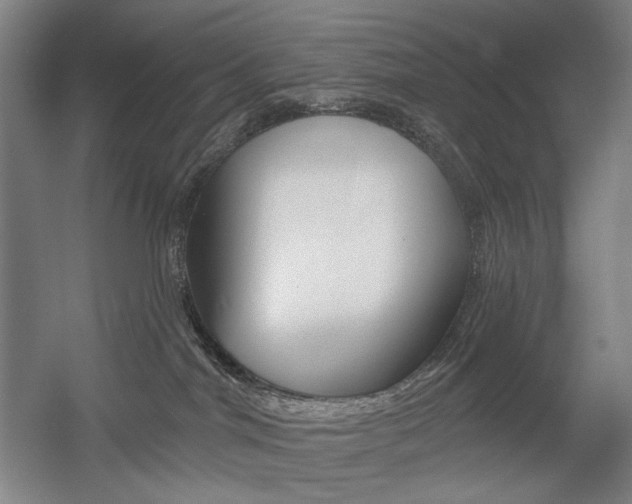 X0000056030044200508191004