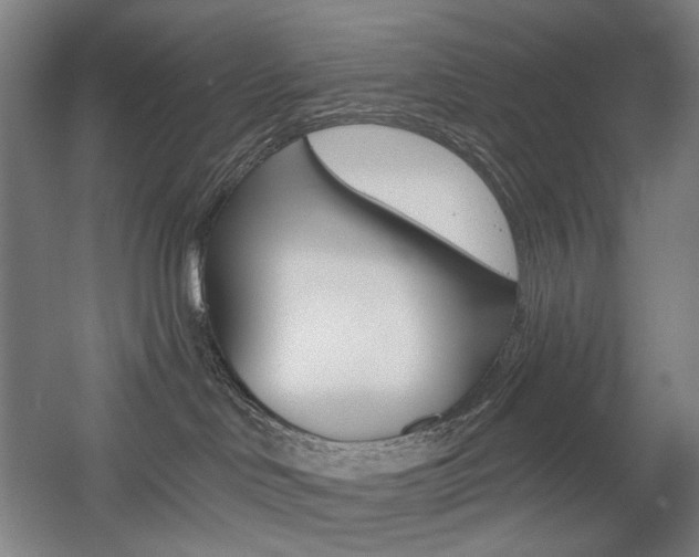 X0000056030046200508191004
