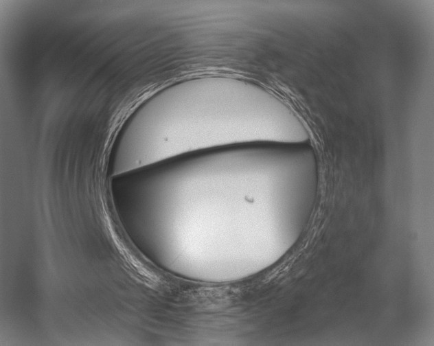 X0000056030049200508191003