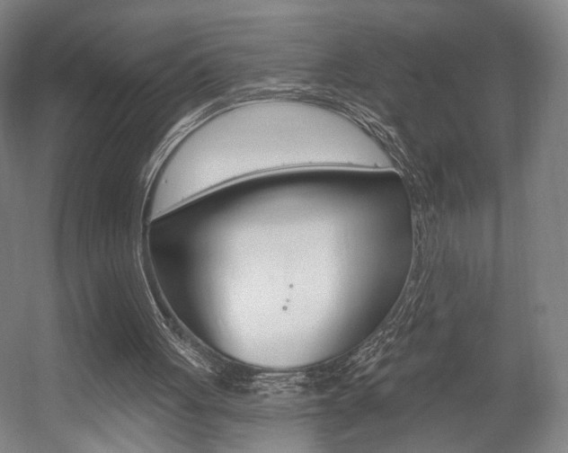 X0000056030051200508191003