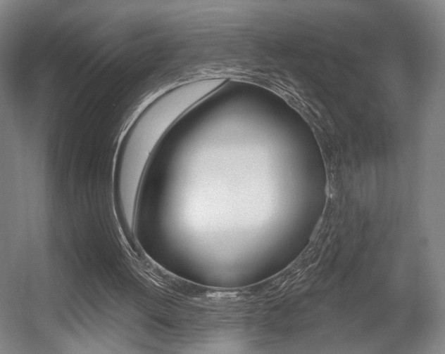 X0000056030052200508191003