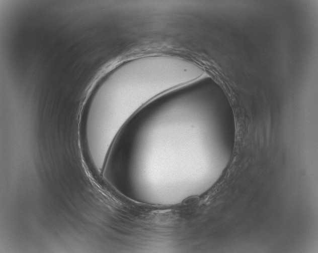 X0000056030054200508191003