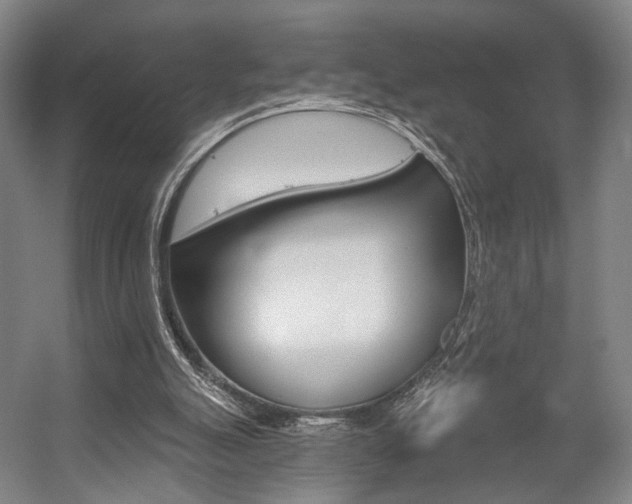 X0000056030055200508191003