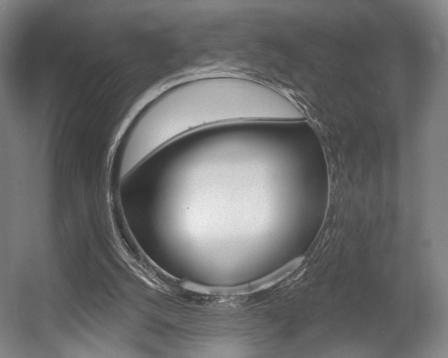 X0000056030056200508191003