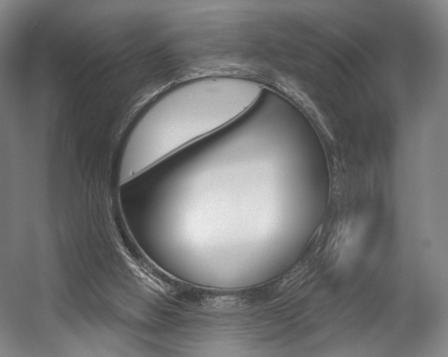 X0000056030058200508191003