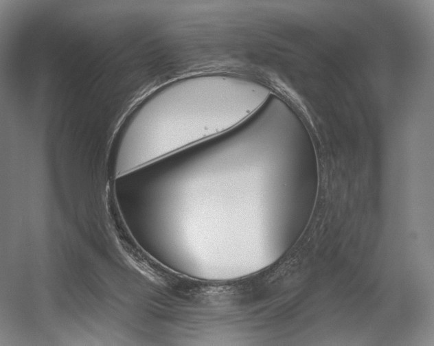 X0000056030059200508191003