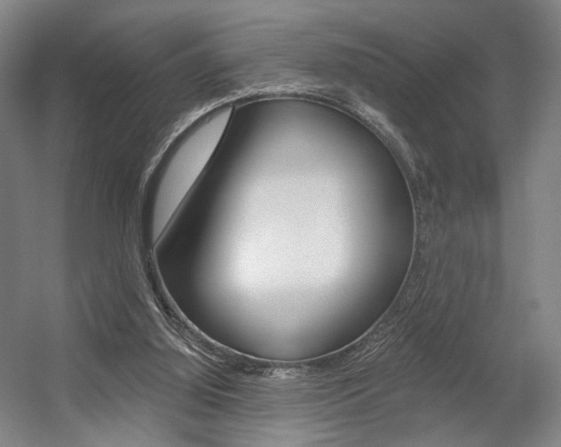 X0000056030060200508191003