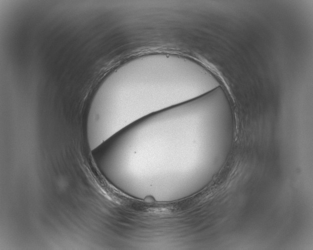 X0000056030061200508191003