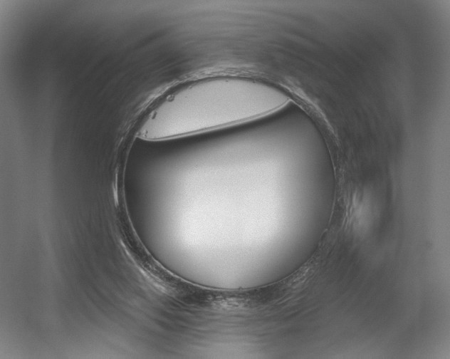 X0000056030062200508191003