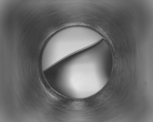 X0000056030063200508191003