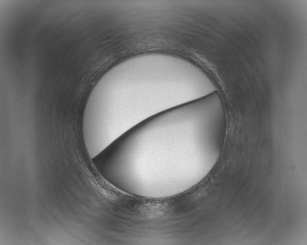 X0000056030065200508191003