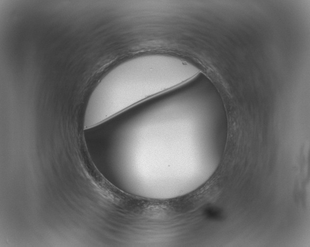 X0000056030066200508191003