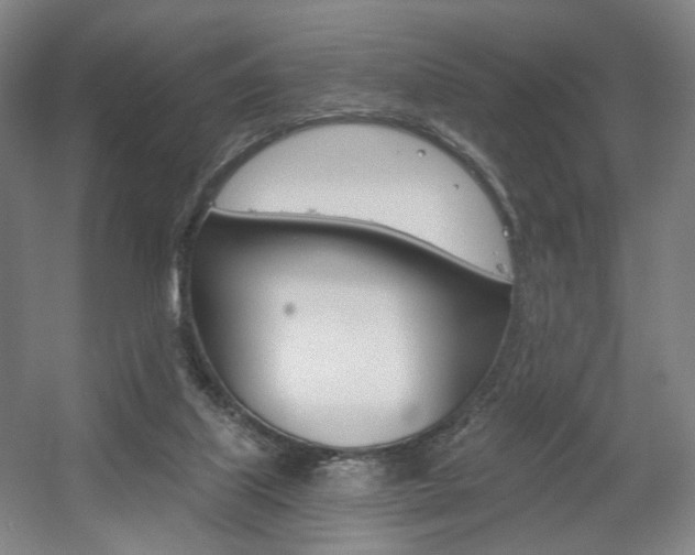 X0000056030067200508191003
