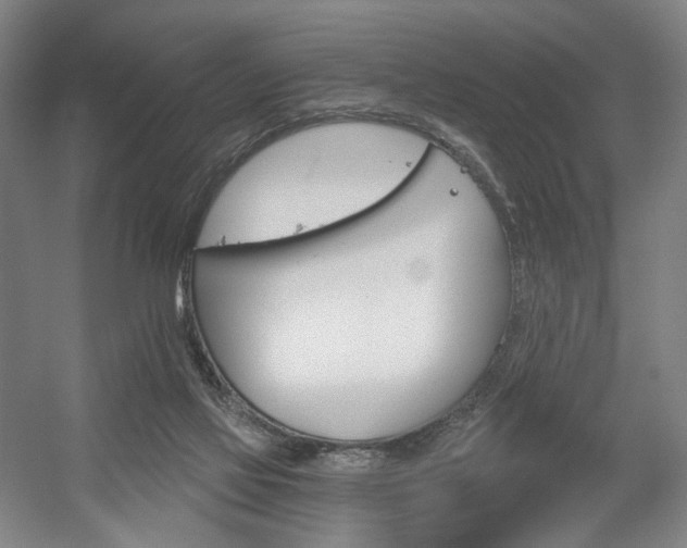 X0000056030069200508191003