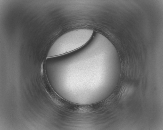 X0000056030070200508191003