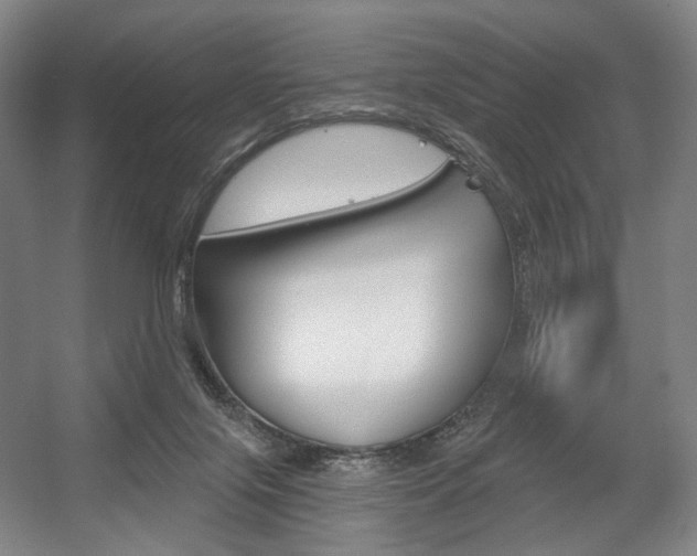 X0000056030071200508191003