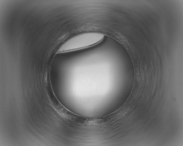 X0000056030072200508191003