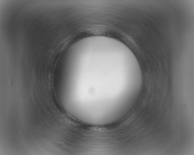 X0000056030073200508191003