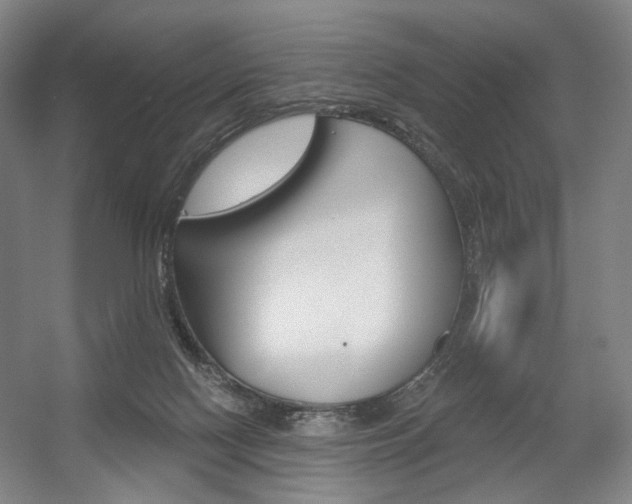 X0000056030074200508191003