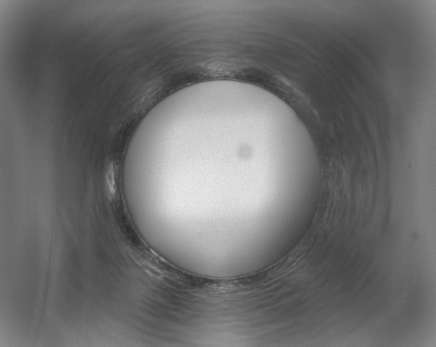 X0000056030075200508191003