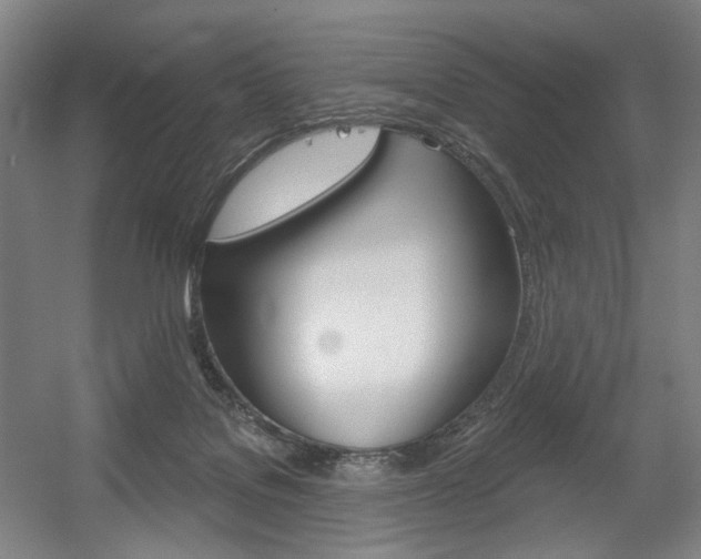 X0000056030076200508191003