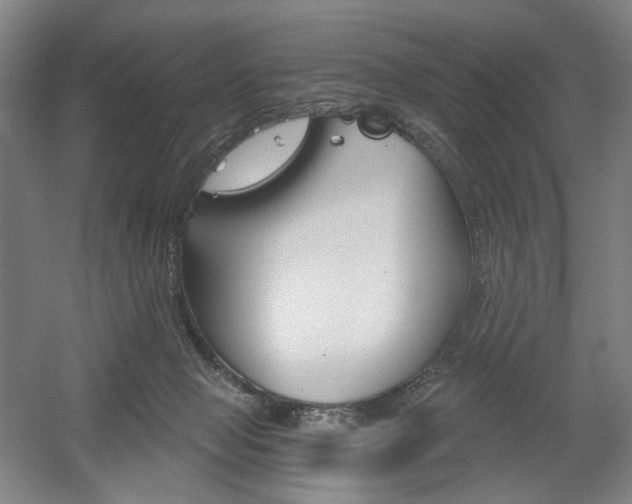 X0000056030077200508191003