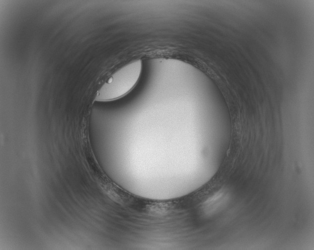 X0000056030079200508191003