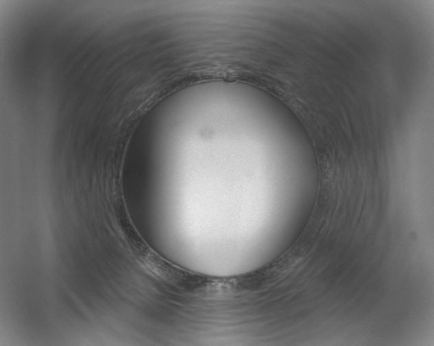 X0000056030080200508191003