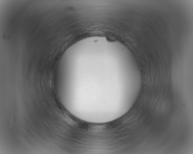 X0000056030081200508191003