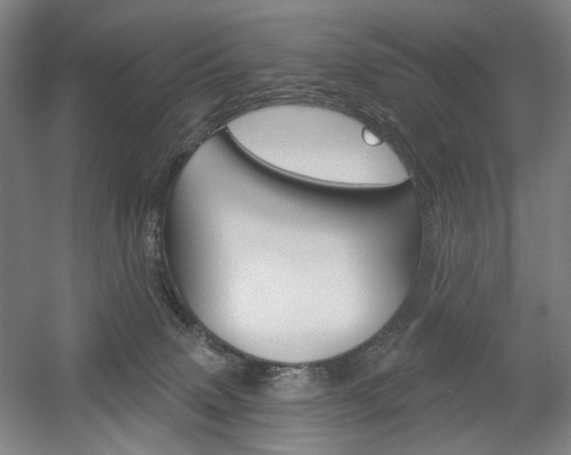 X0000056030083200508191003