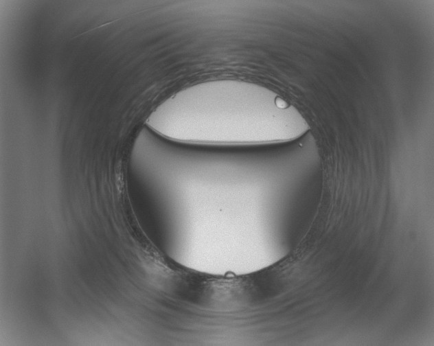 X0000056030085200508191003