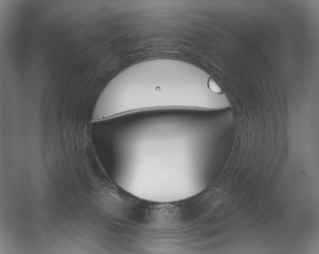 X0000056030087200508191003