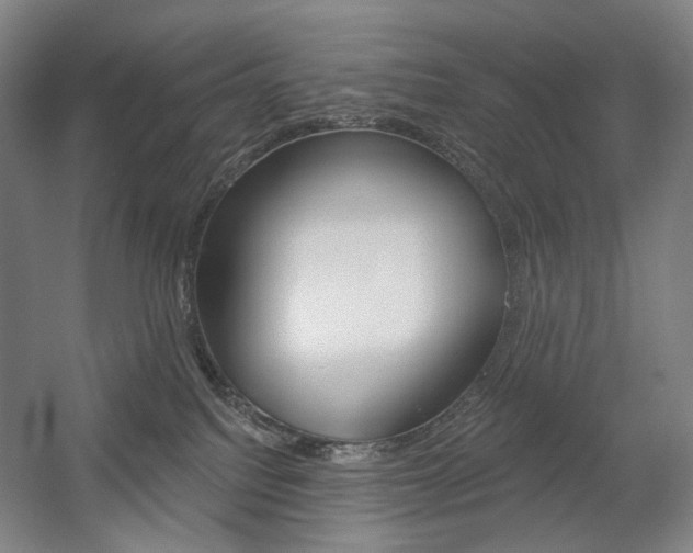 X0000056030088200508191003